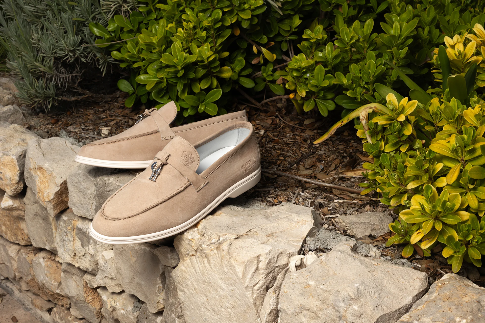 Adley 3 - Image 8