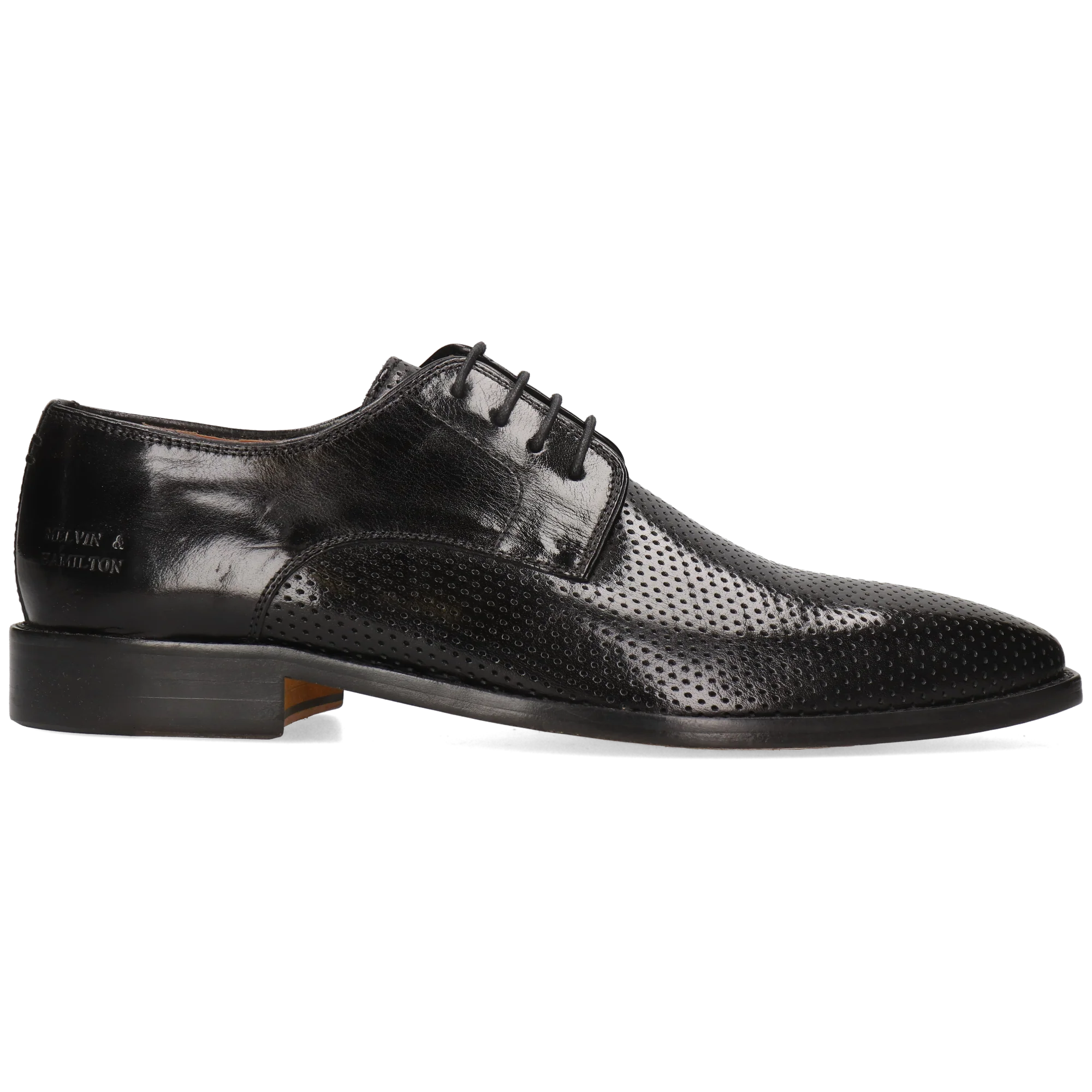Alex 1 - Image 7
