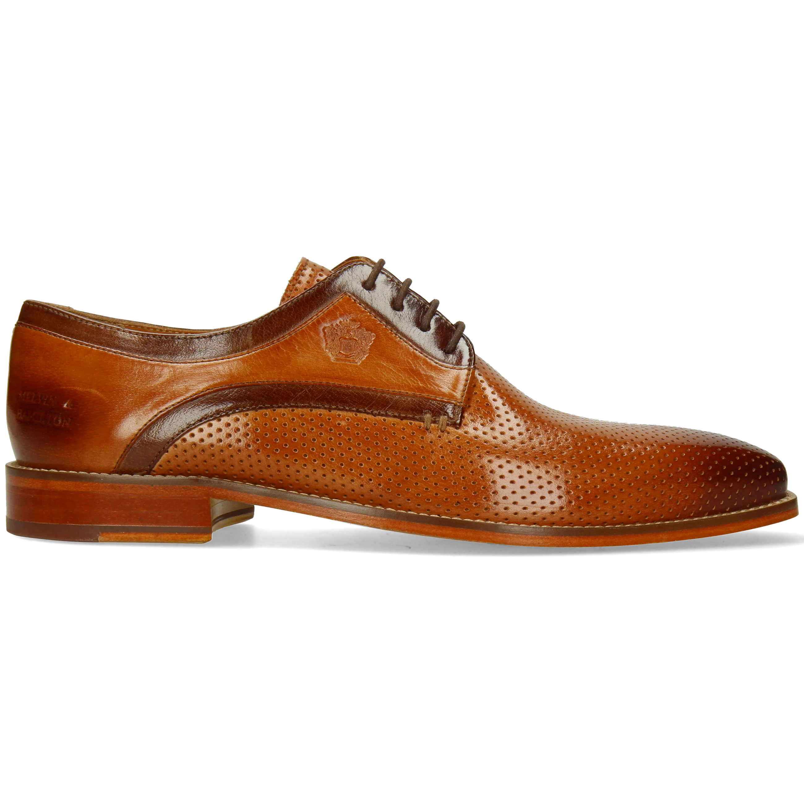 Alex 10 - Image 7