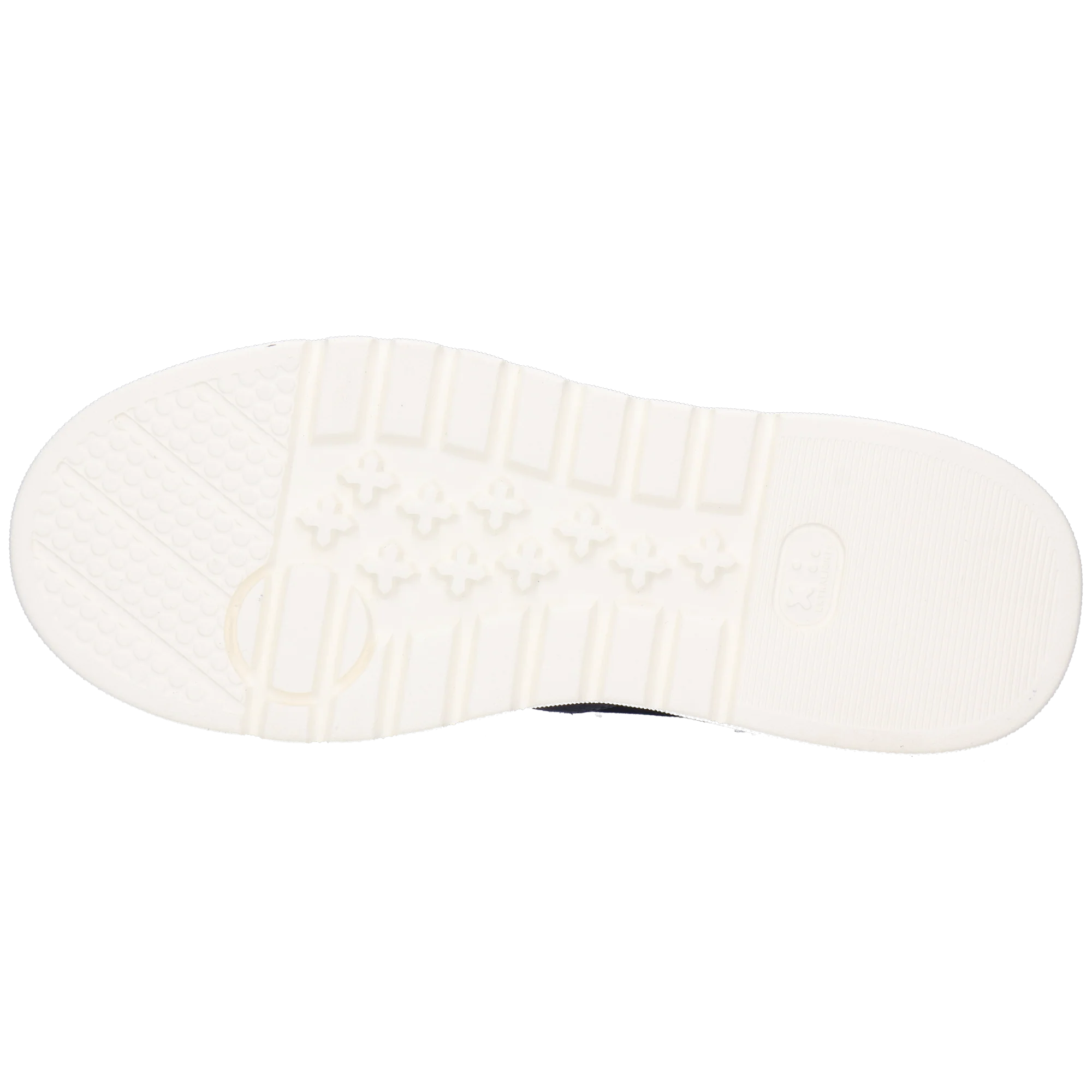 Alga 2 - Image 4