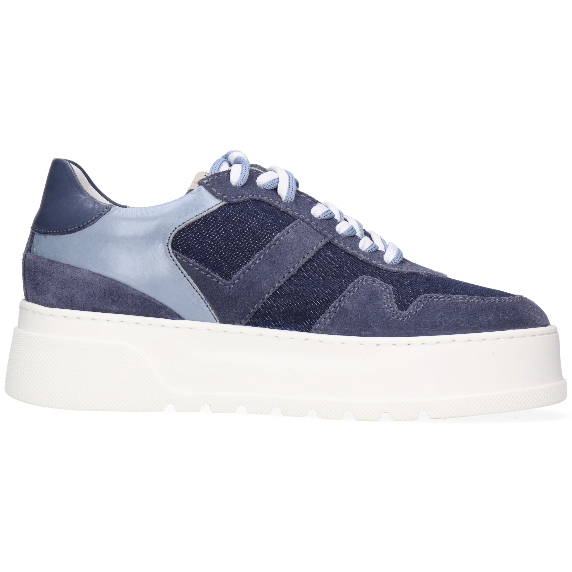 Alga 2 - Image 7