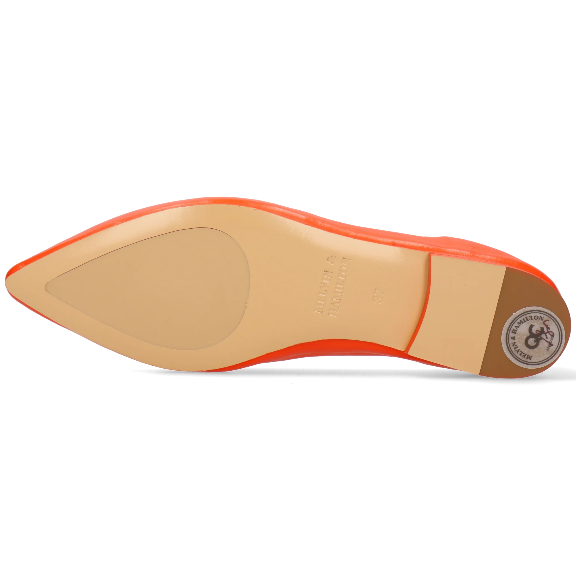 Alora 4 - Image 4