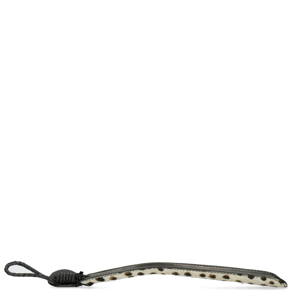 Anton 3 - Image 3