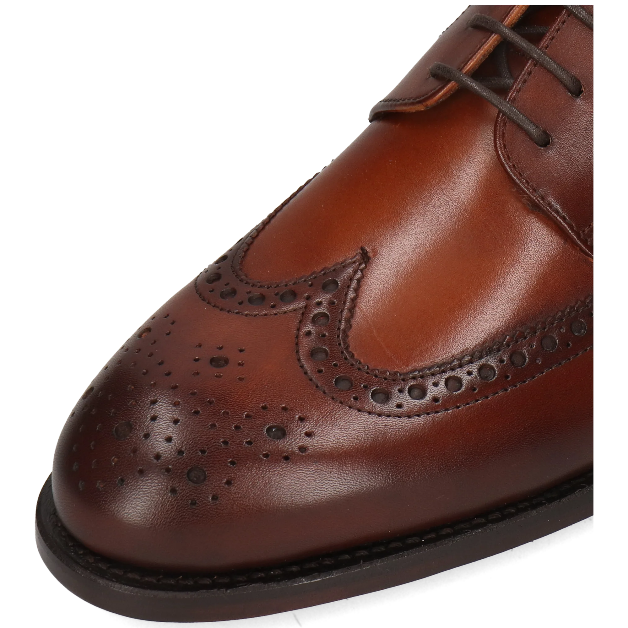 Benet 4 - Image 5