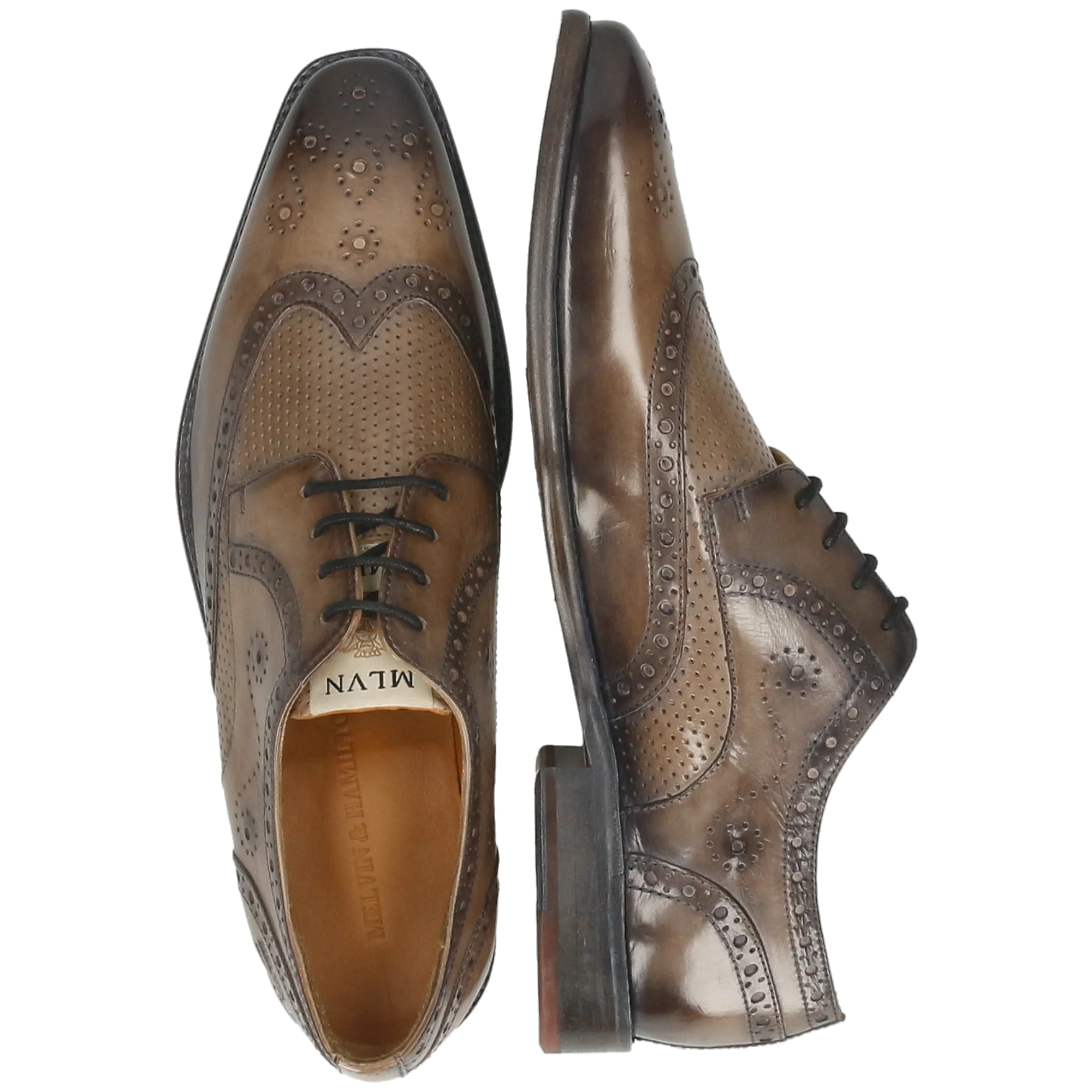 Dylan 2 - Image 6