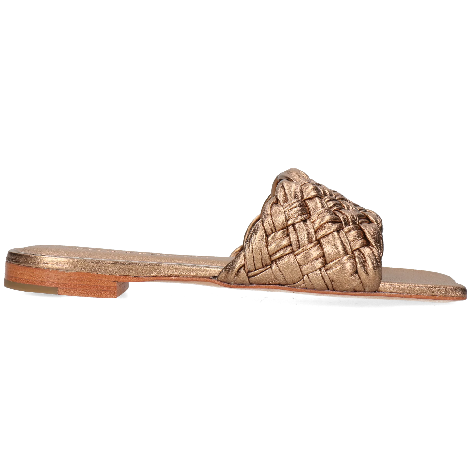 Eglantine 1 - Image 9