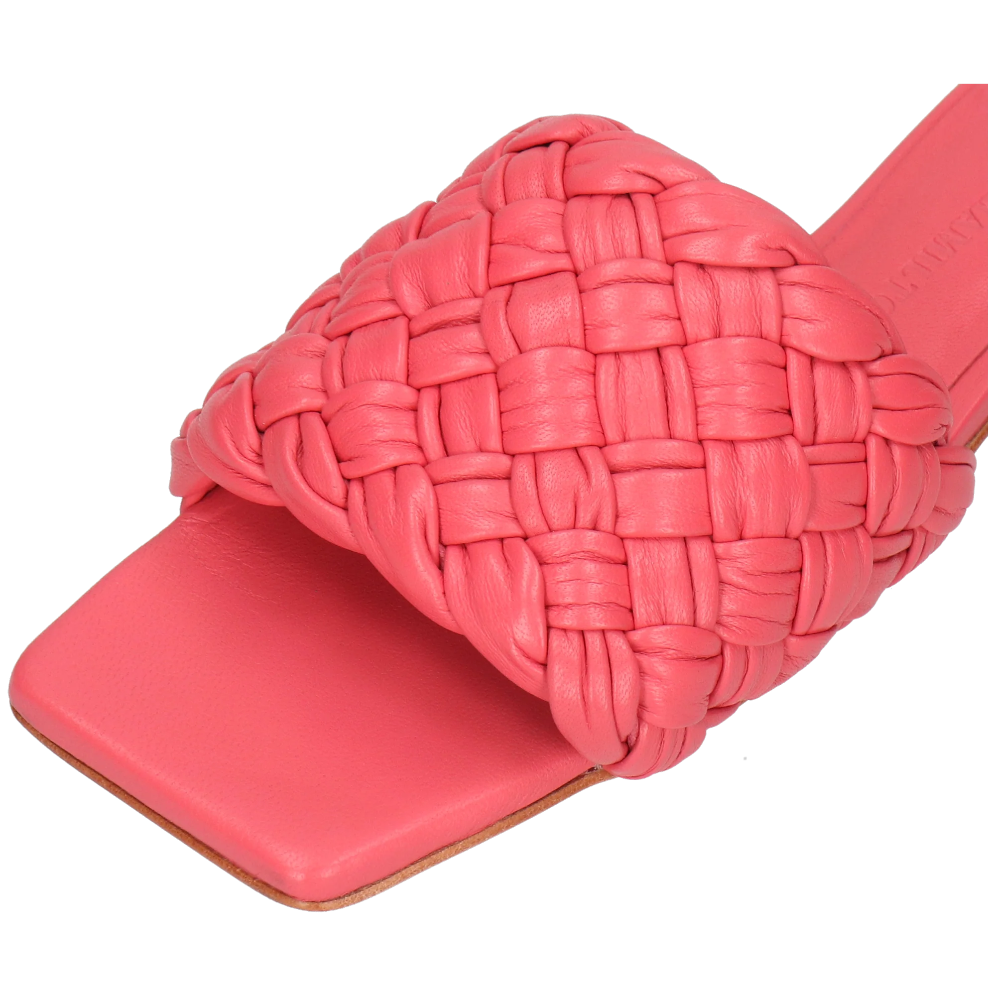 Eglantine 1 - Image 5