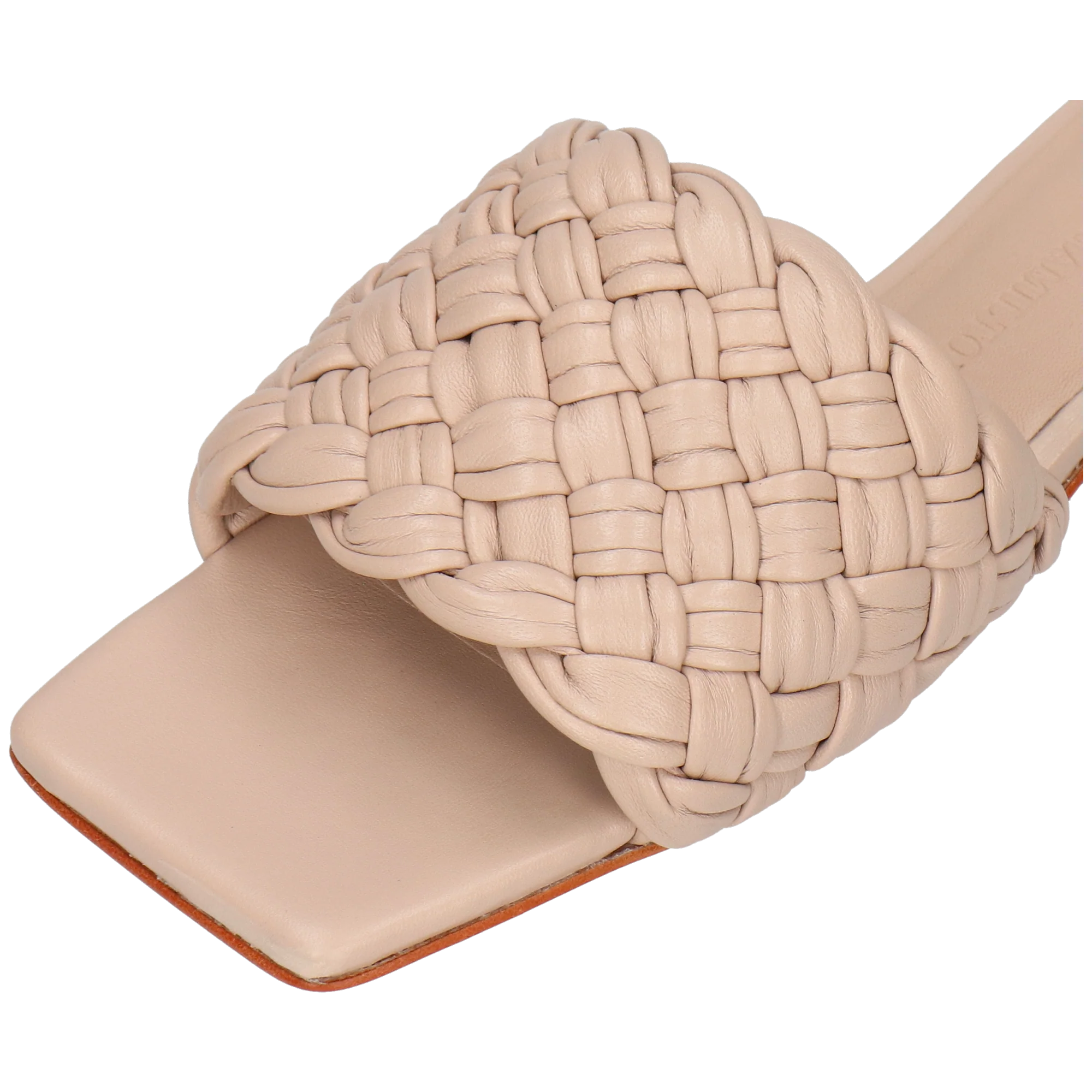Eglantine 1 - Image 5