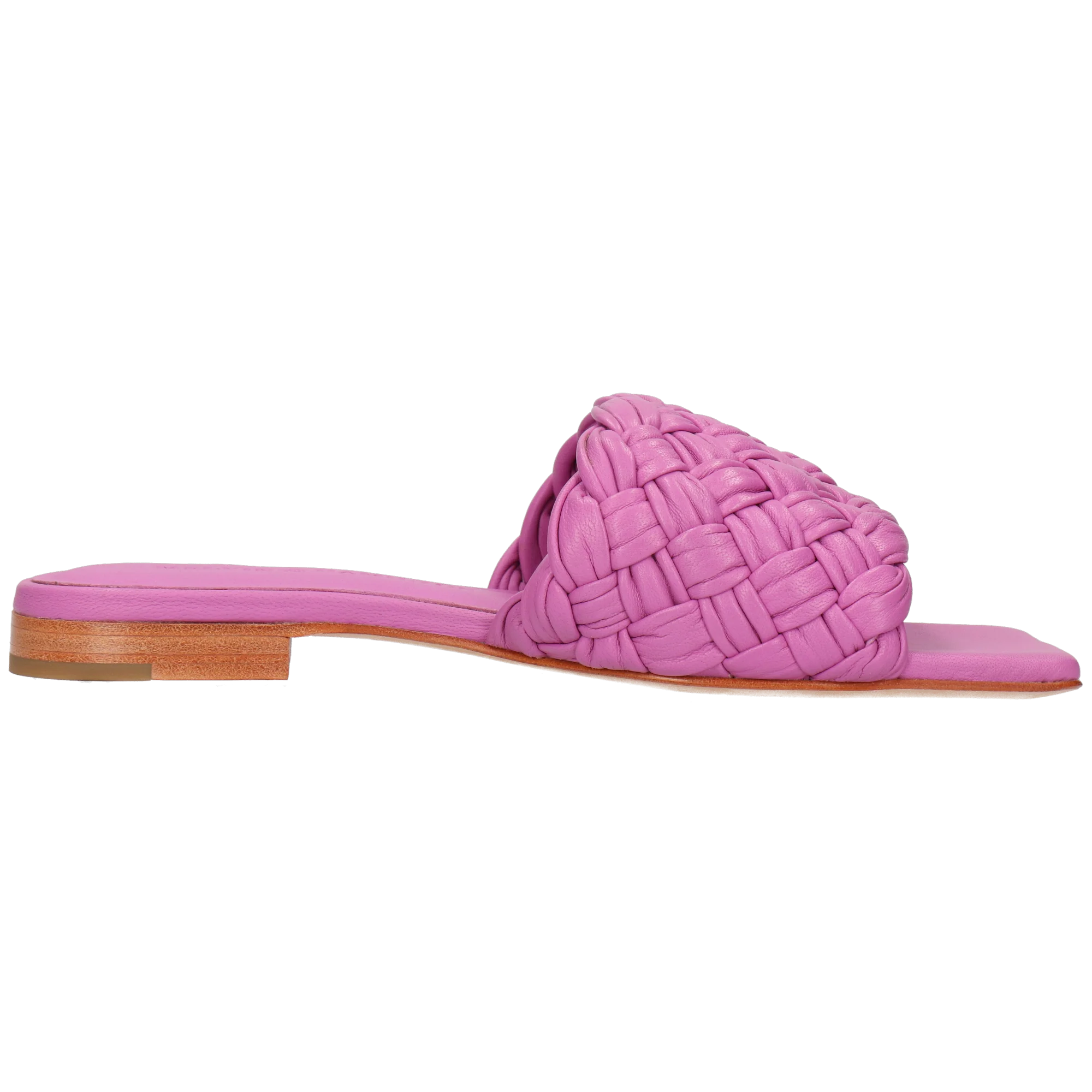 Eglantine 1 - Image 2