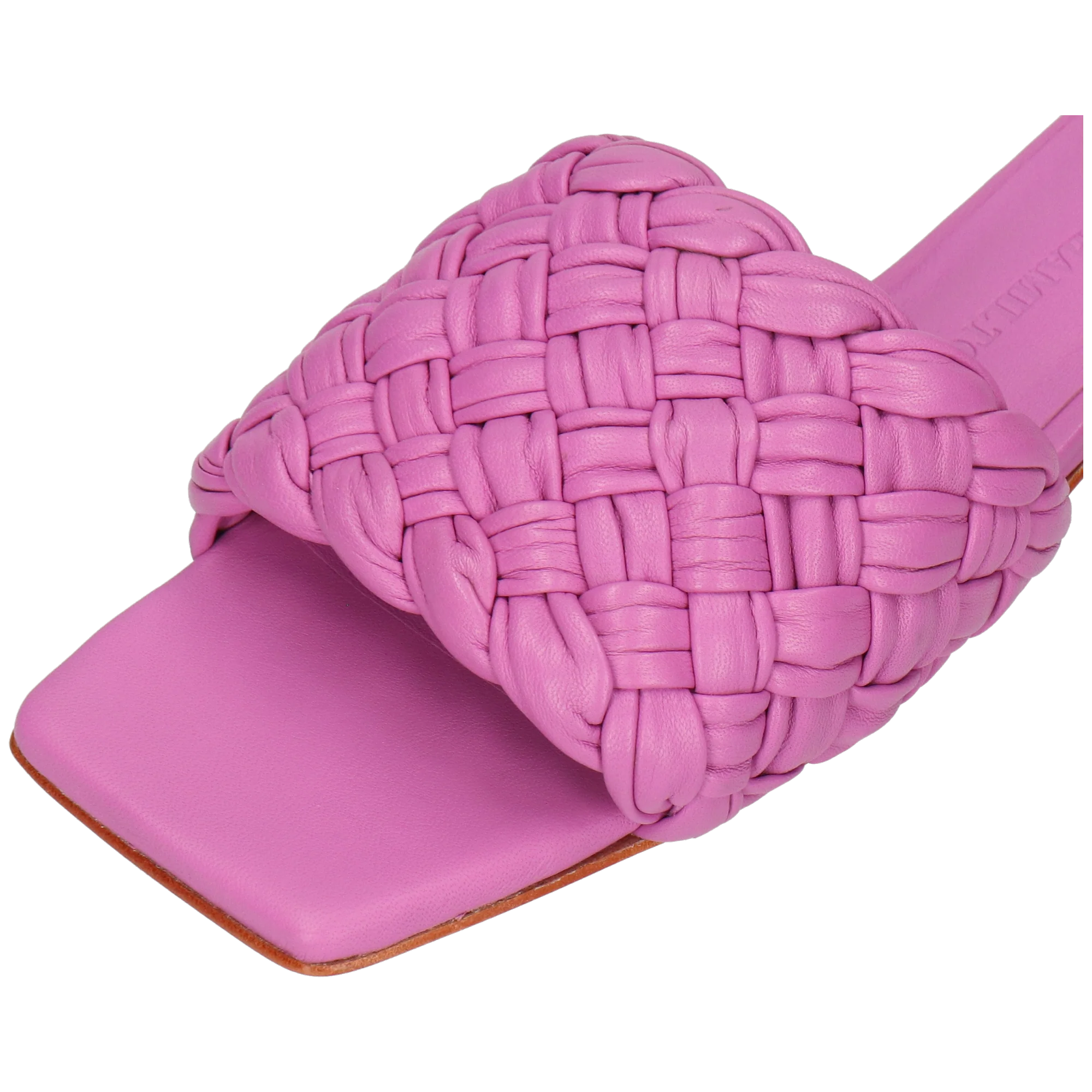 Eglantine 1 - Image 5