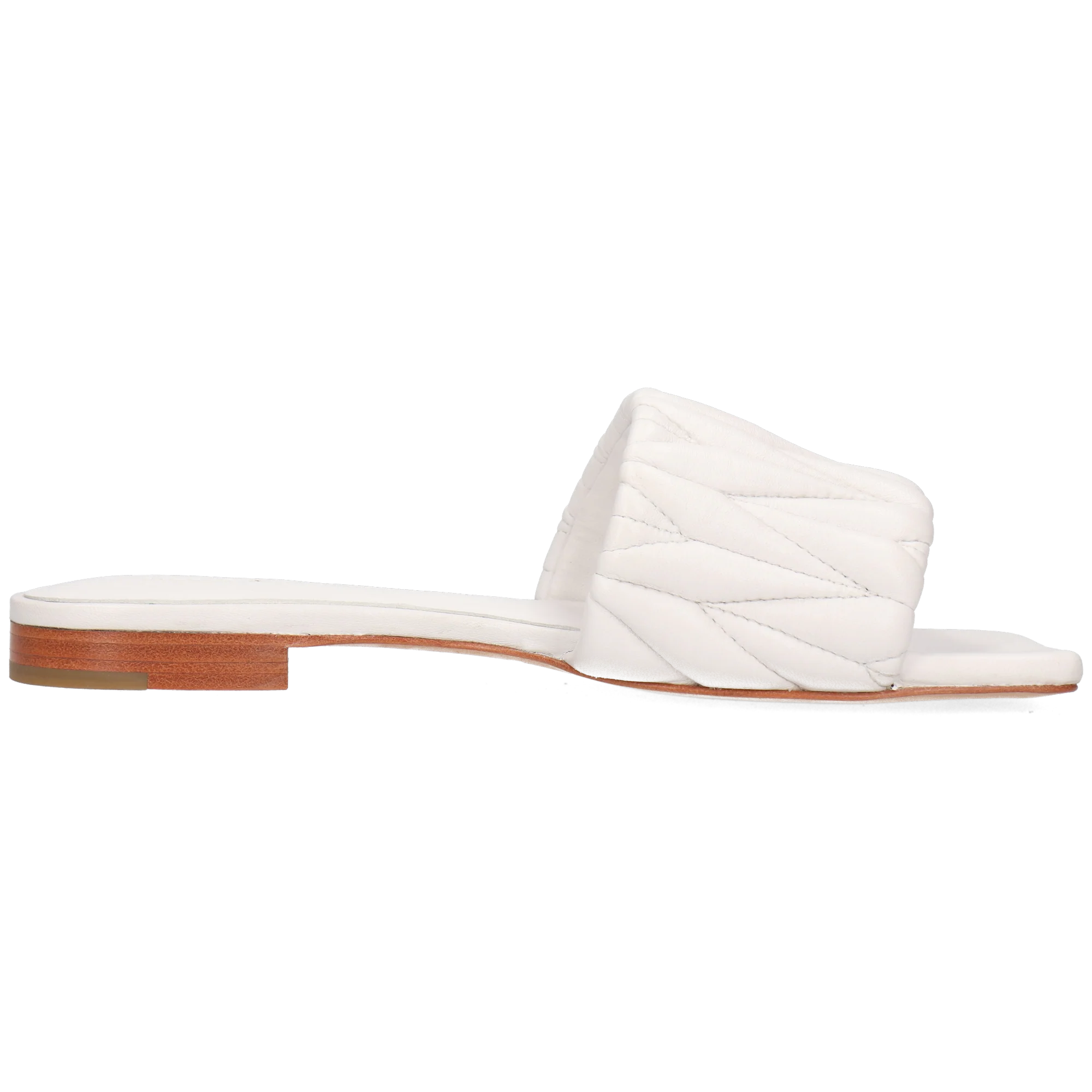 Eglantine 2 - Image 2