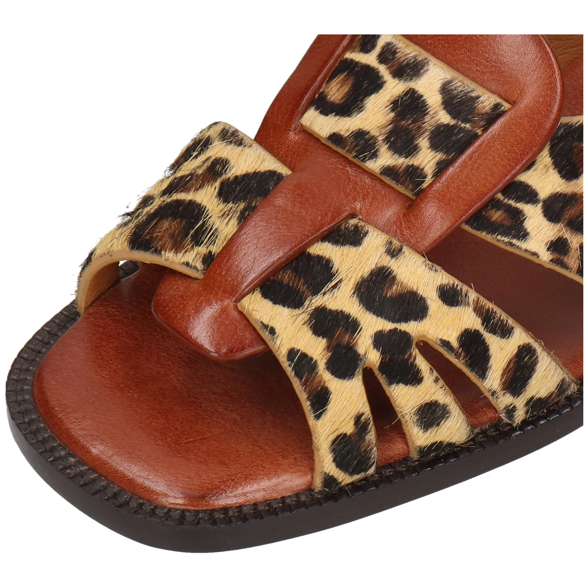 Everly 4 - Image 5