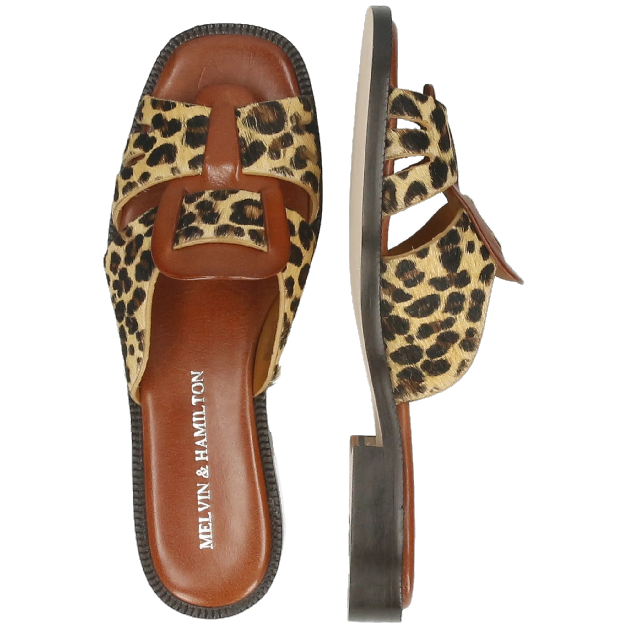 Everly 4 - Image 6