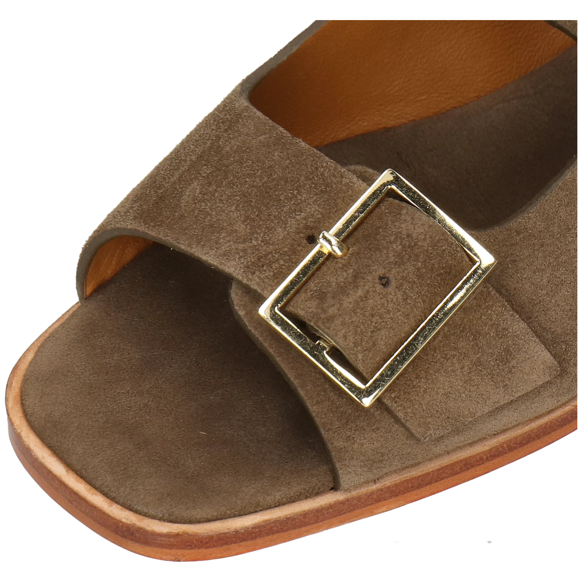 Everly 5 - Image 5