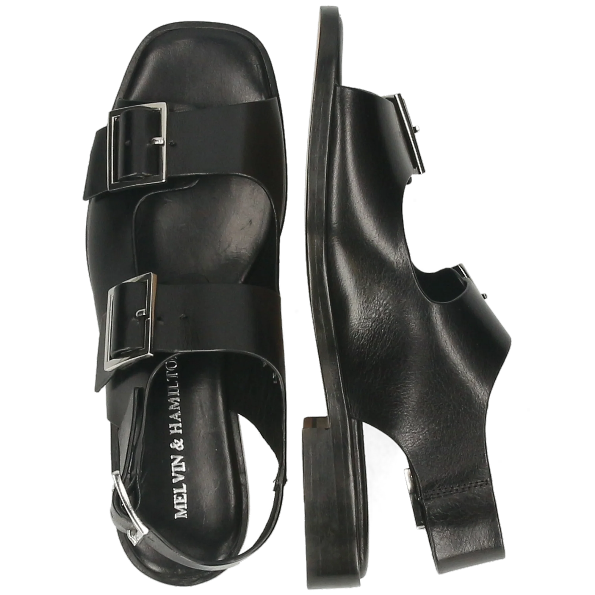 Everly 5 - Image 6