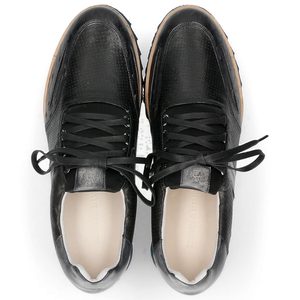 Hank 2 - Image 8