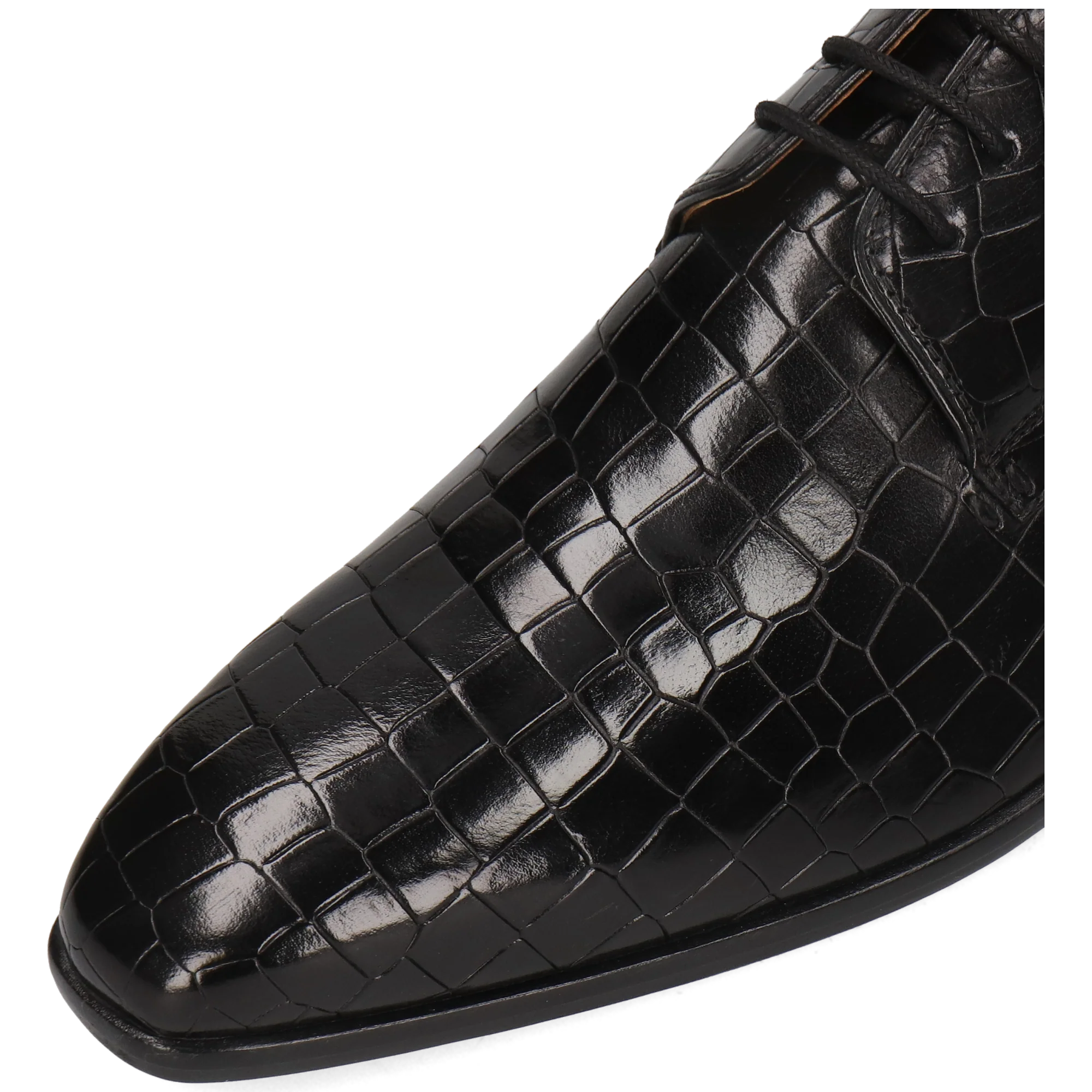 Lance 8 - Image 5