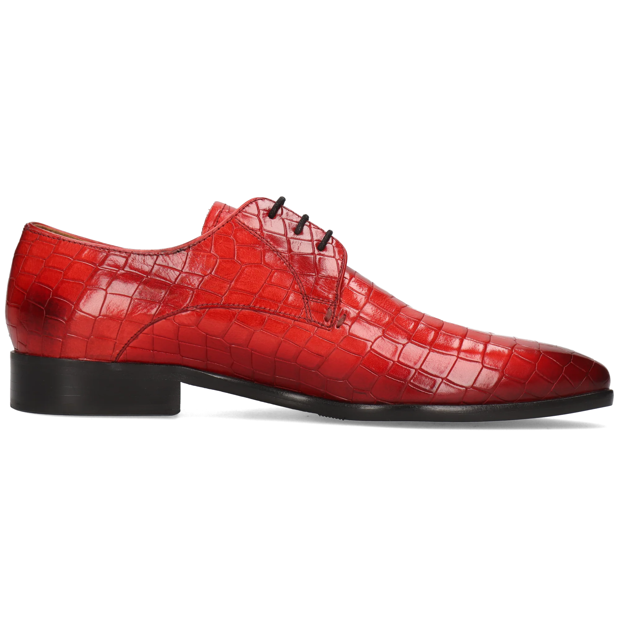 Lance 8 - Image 2