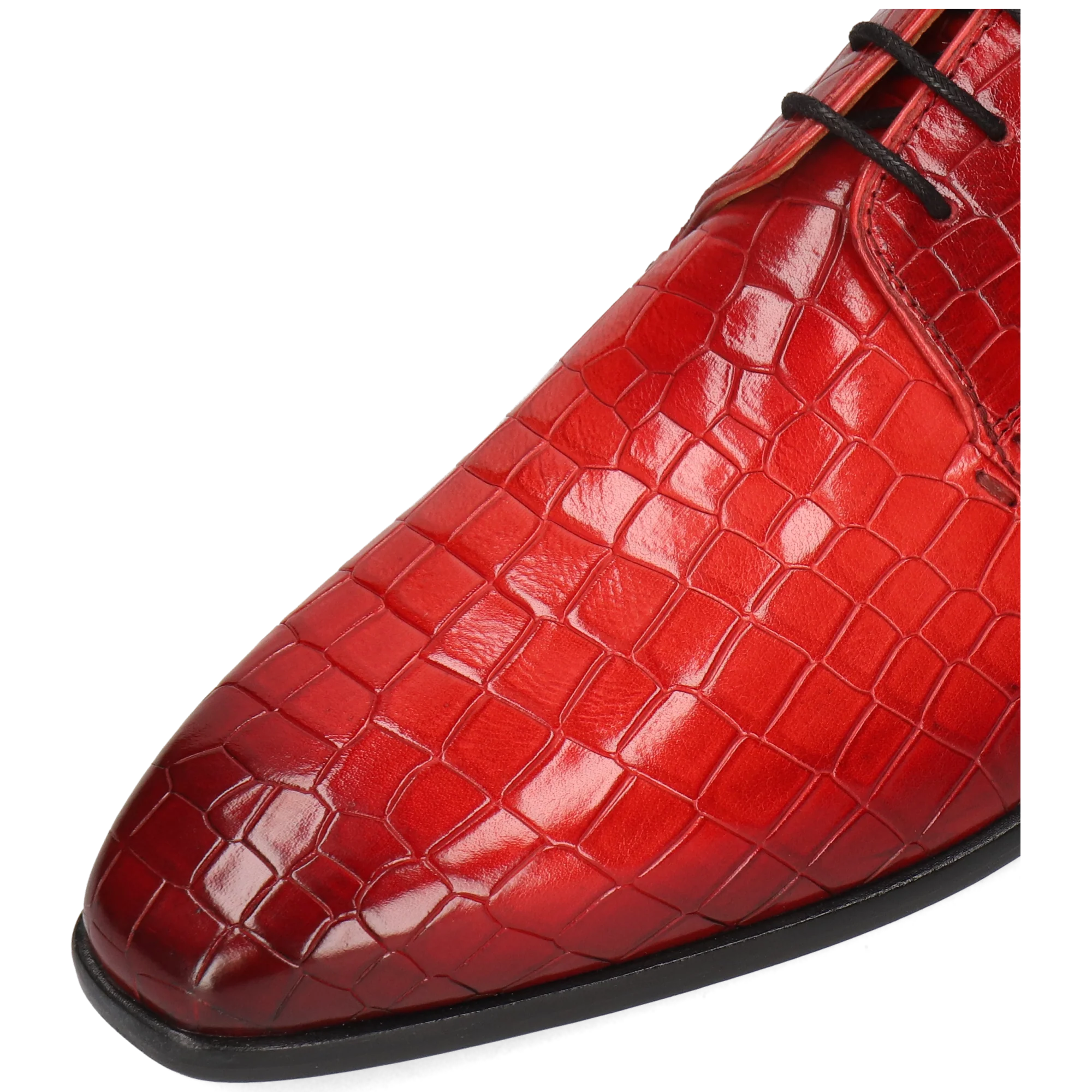 Lance 8 - Image 5