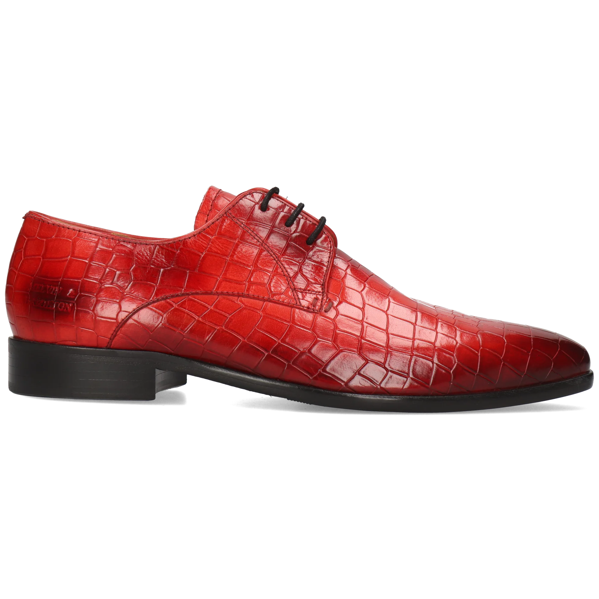 Lance 8 - Image 7