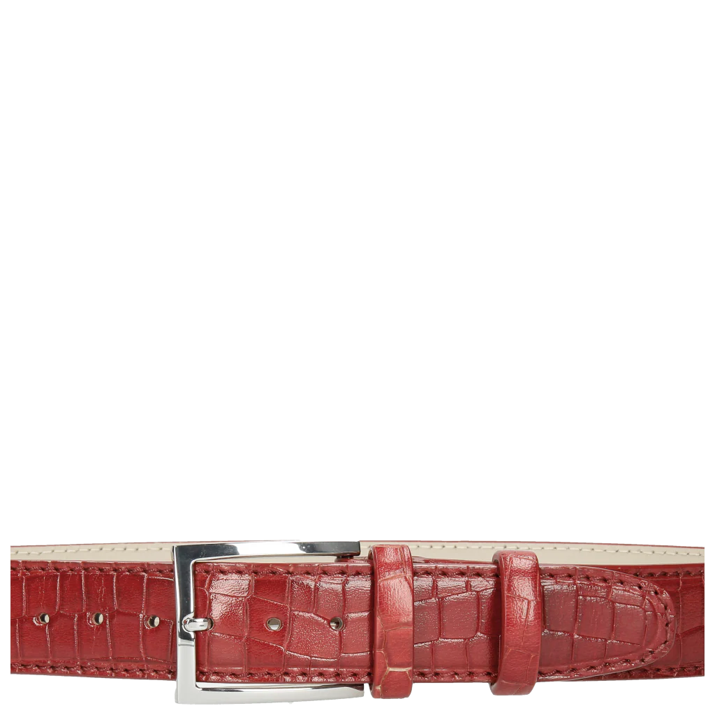Larry 1 - Image 2