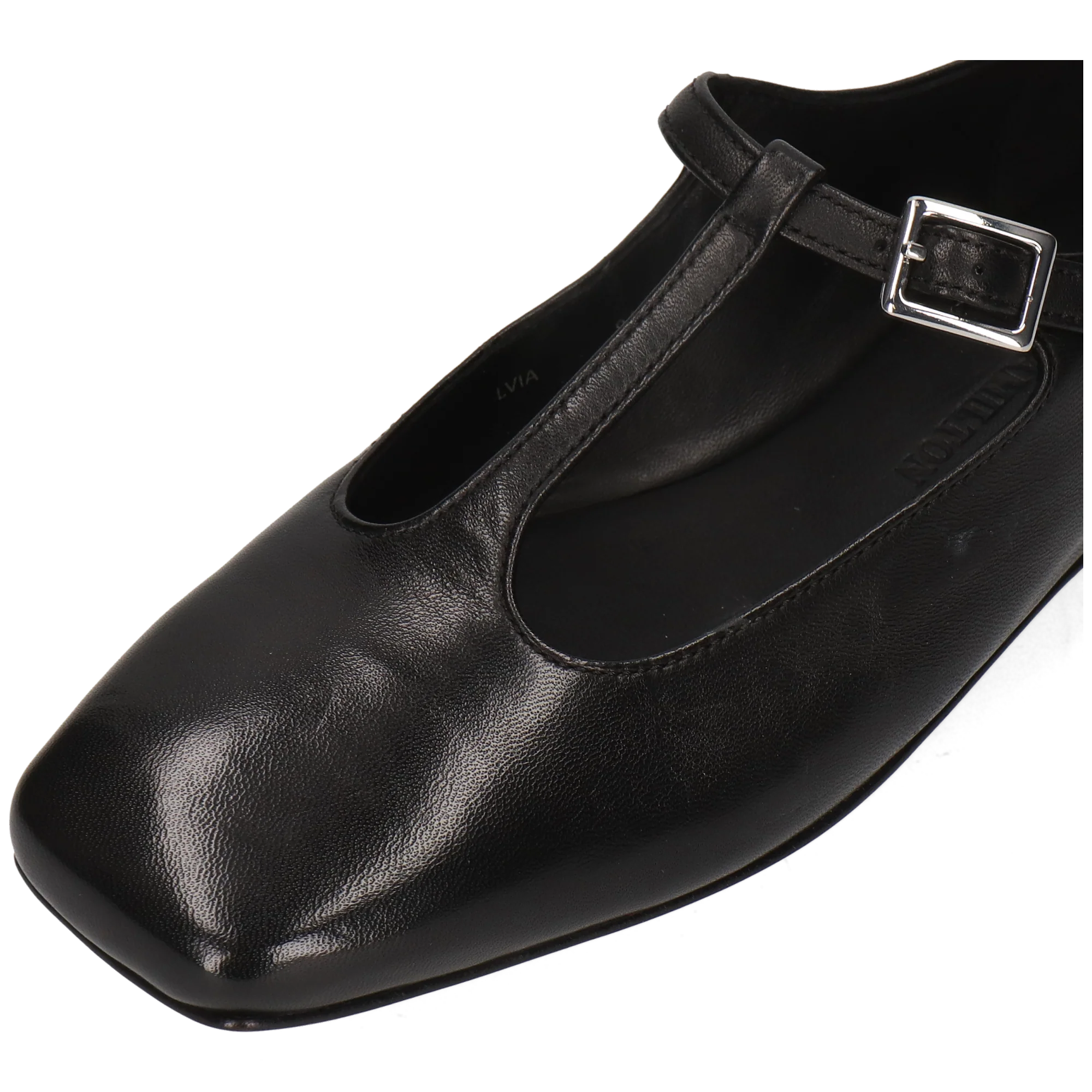 Livia 8 - Image 5