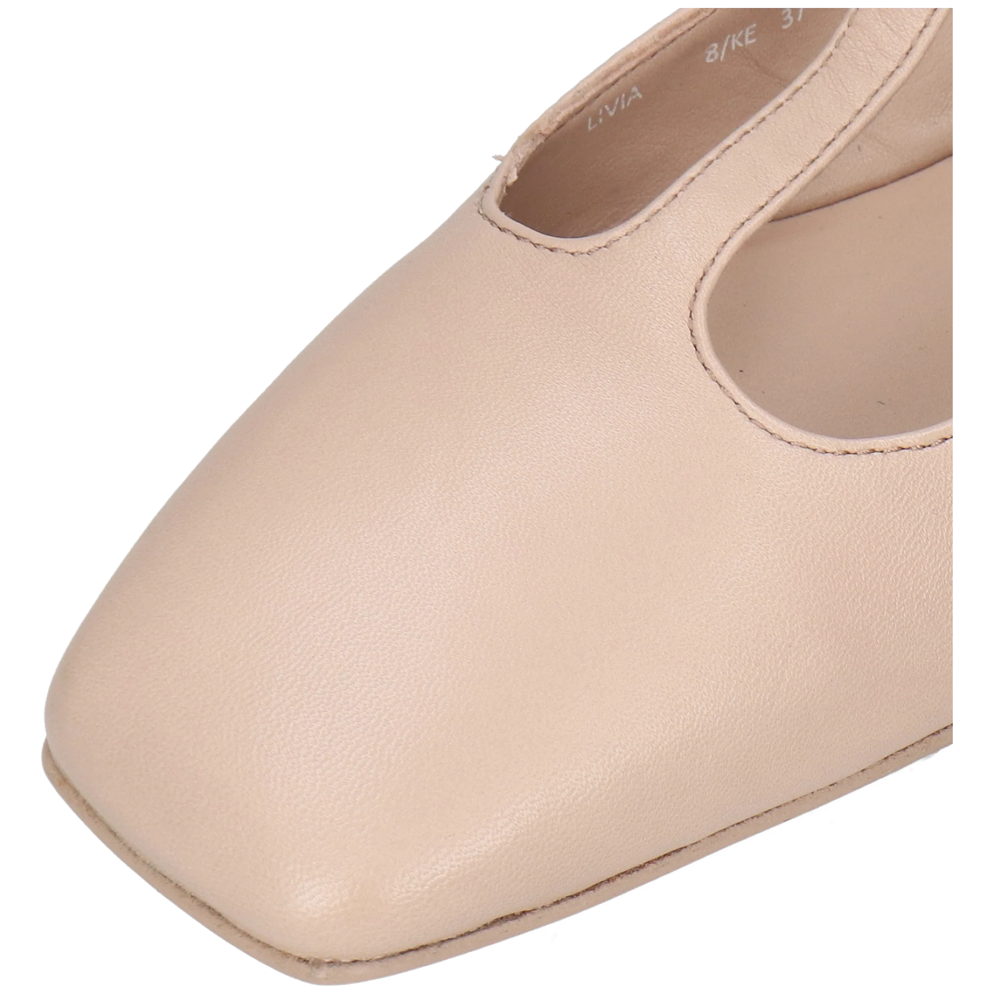 Livia 8 - Image 5