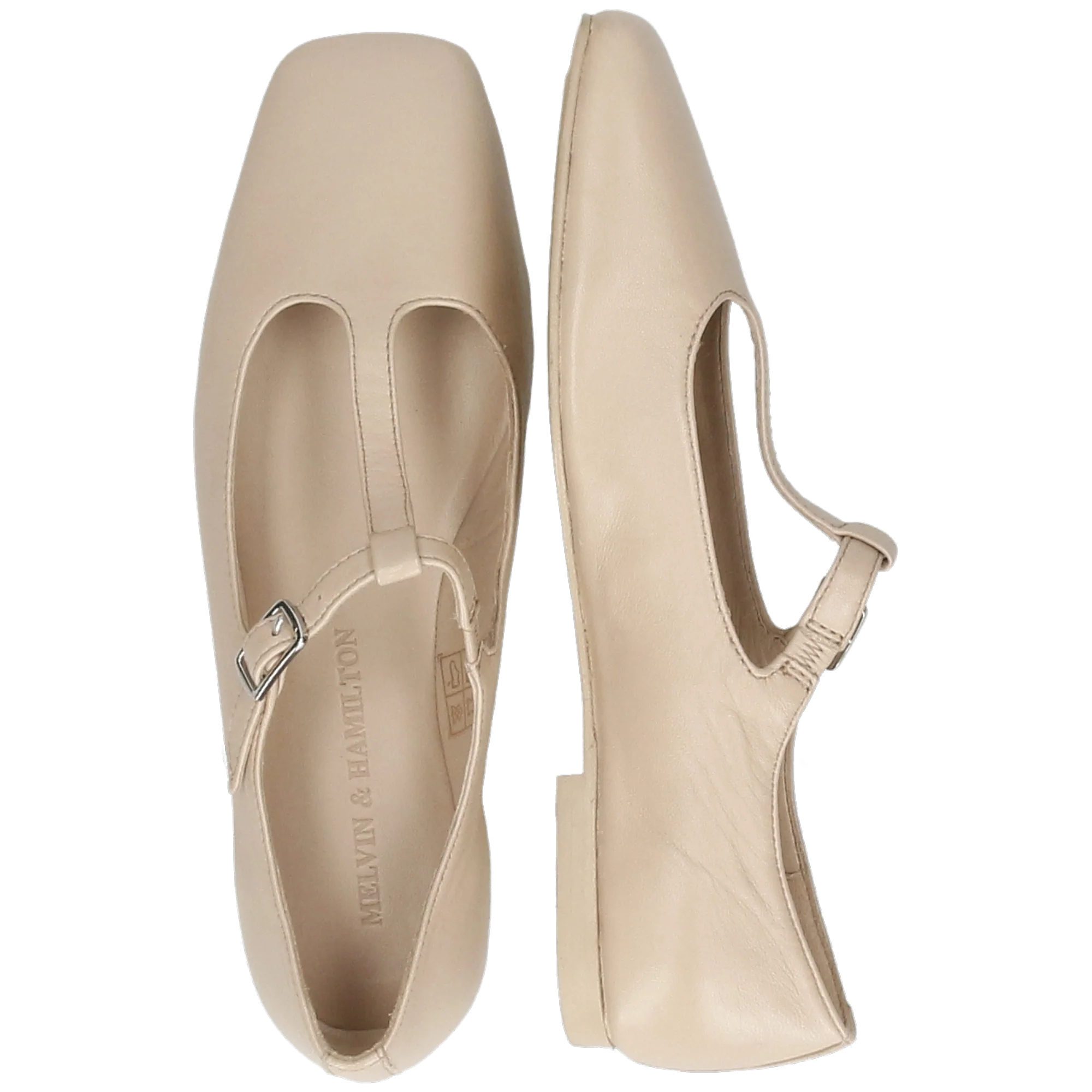 Livia 8 - Image 6