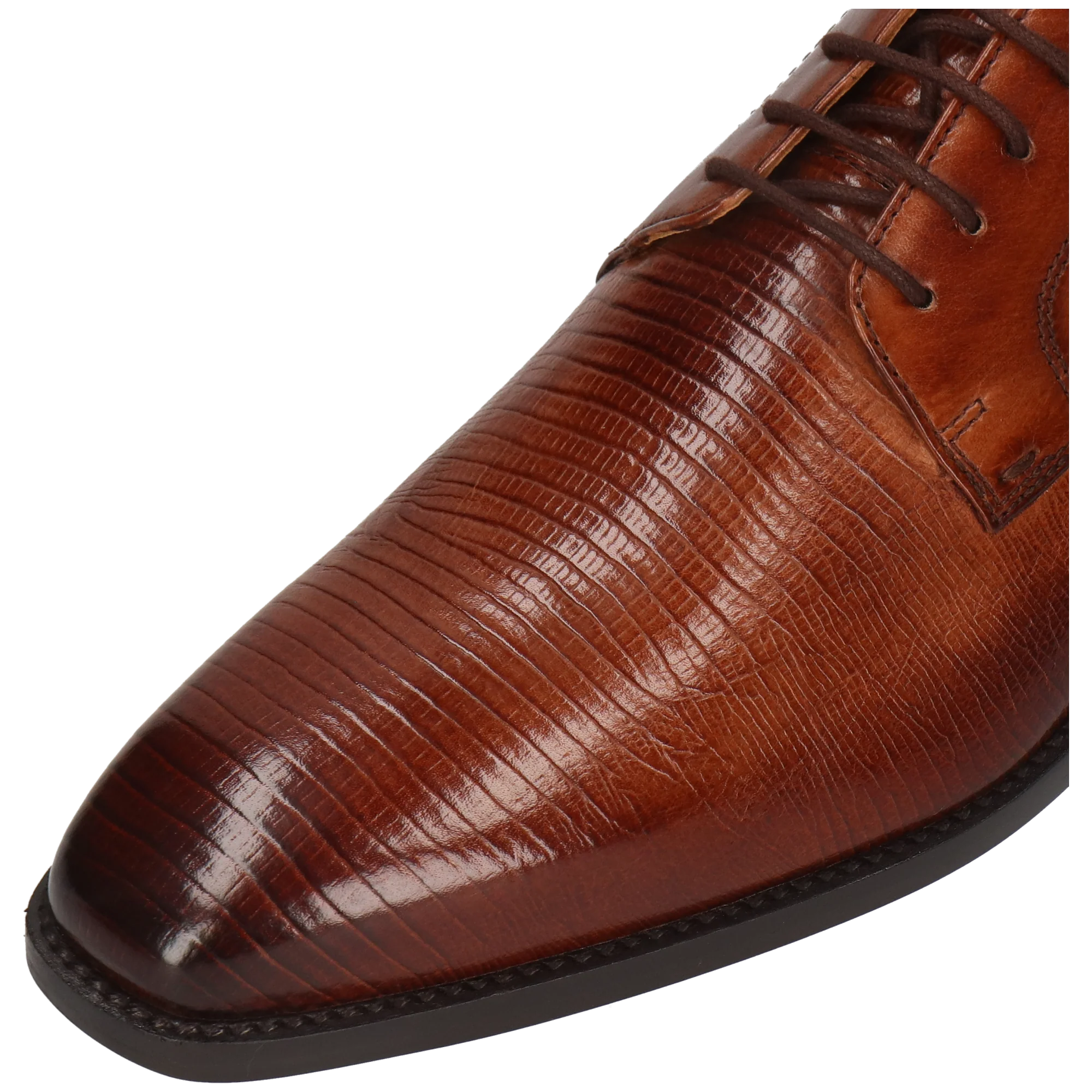 Martin 1 - Image 5