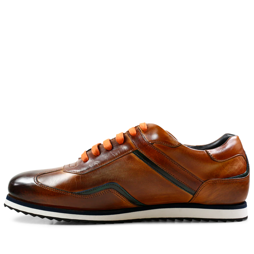 Niven 6 - Image 4