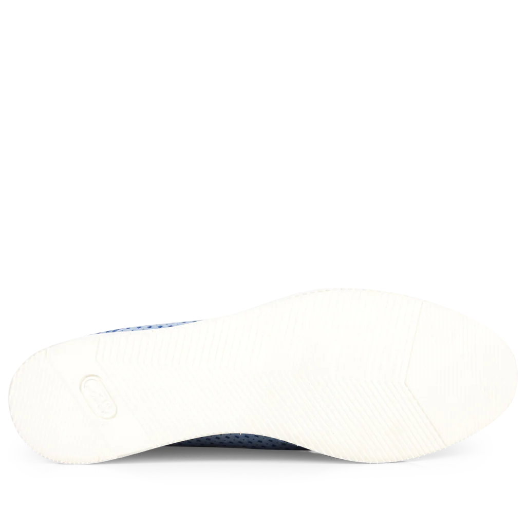Polly 2 - Image 6