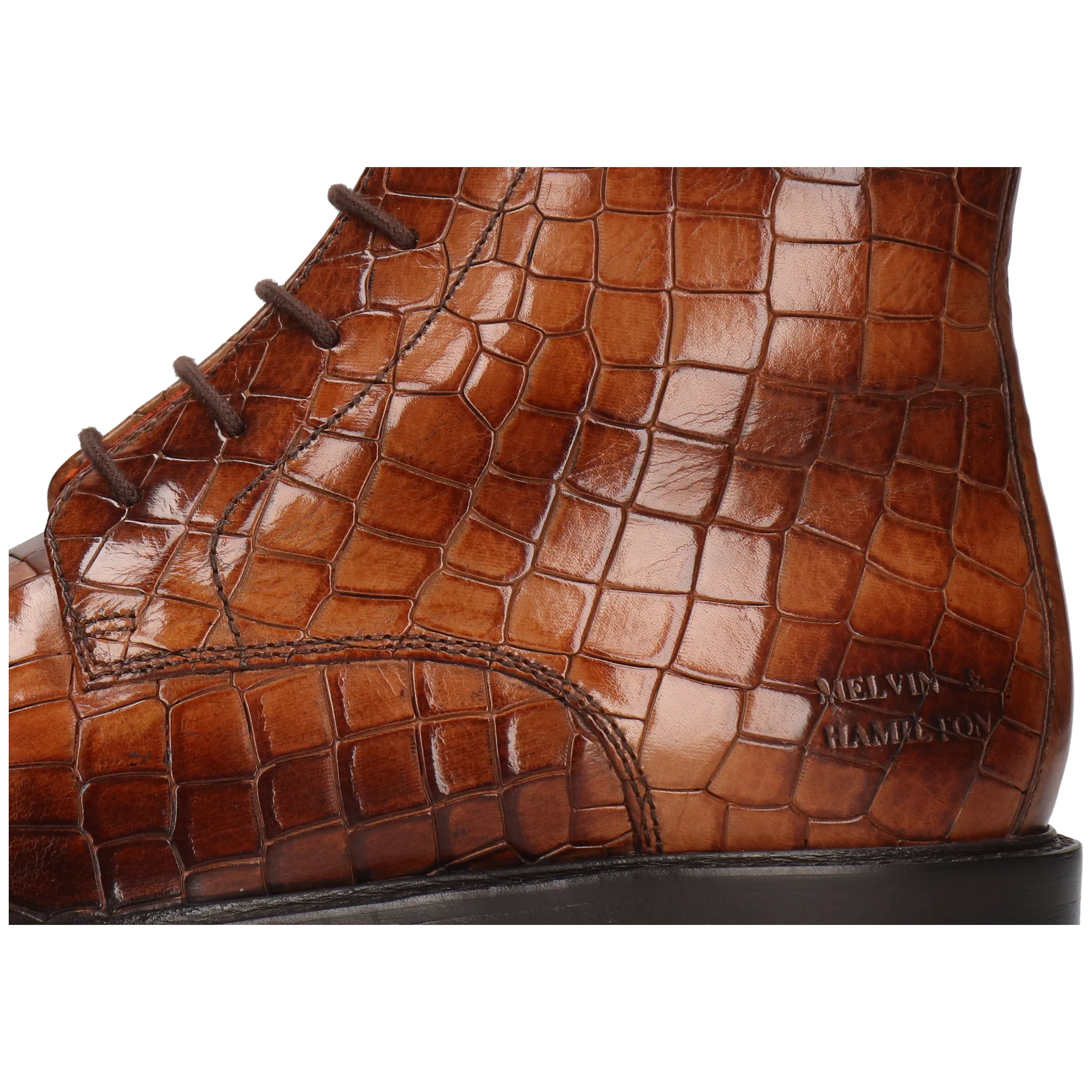 Regine 7 - Image 5
