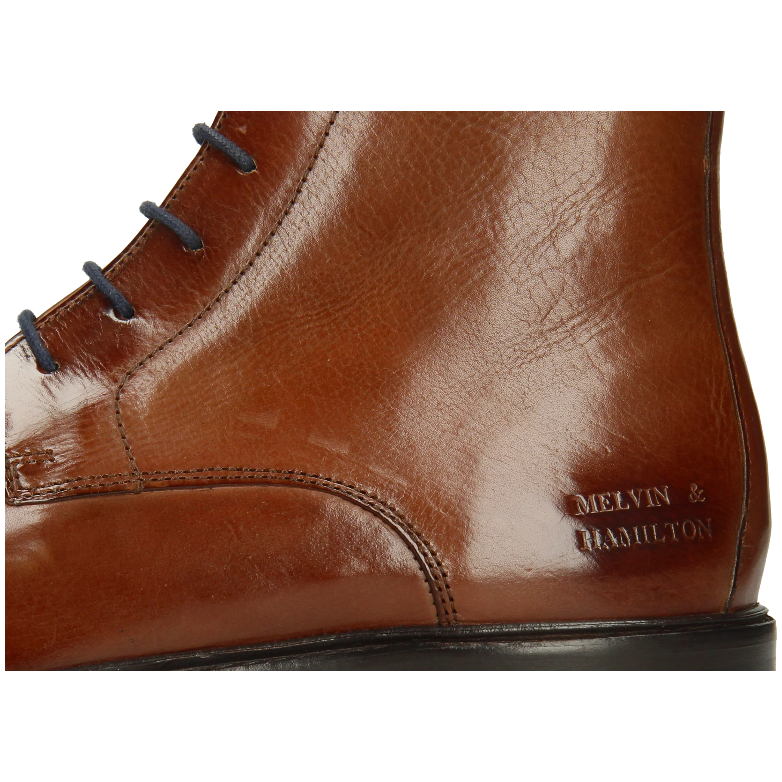 Regine 7 - Image 5