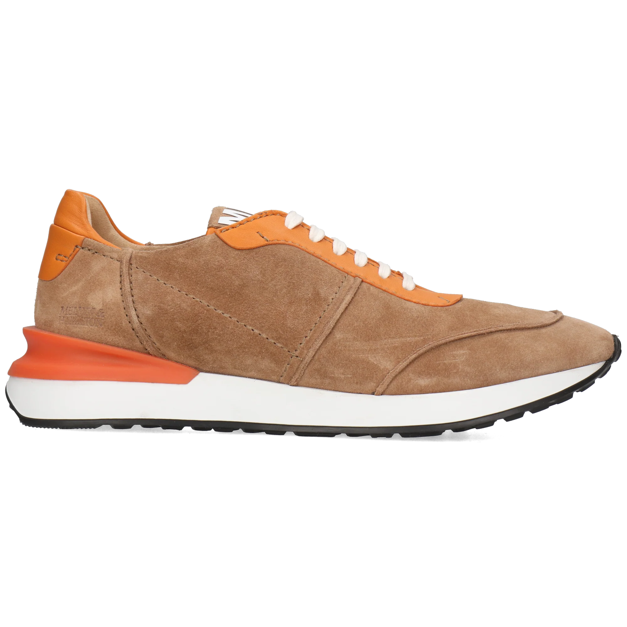 Rocco 1 - Image 7