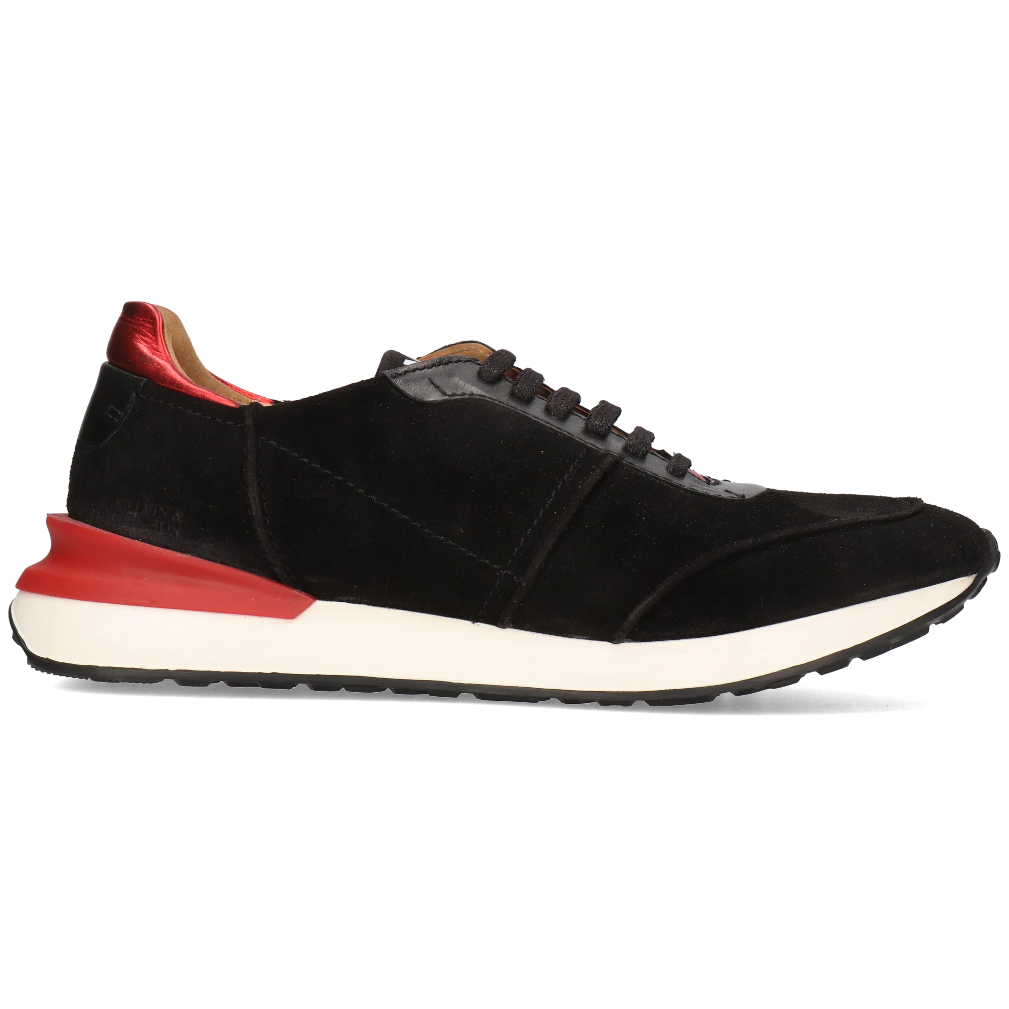 Rocco 1 - Image 7