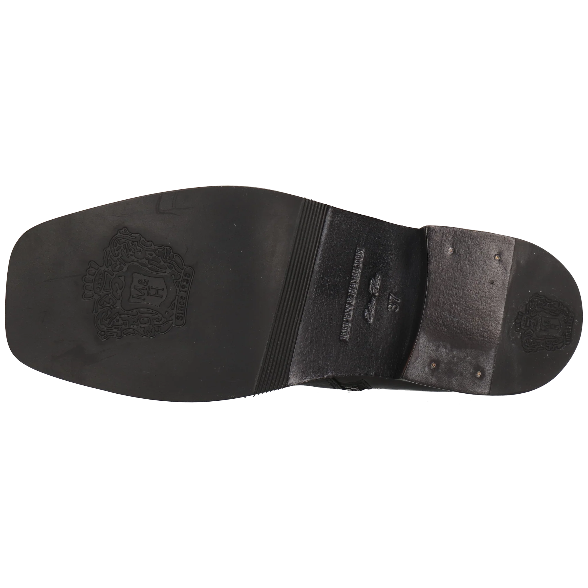 Shelby 1 - Image 4