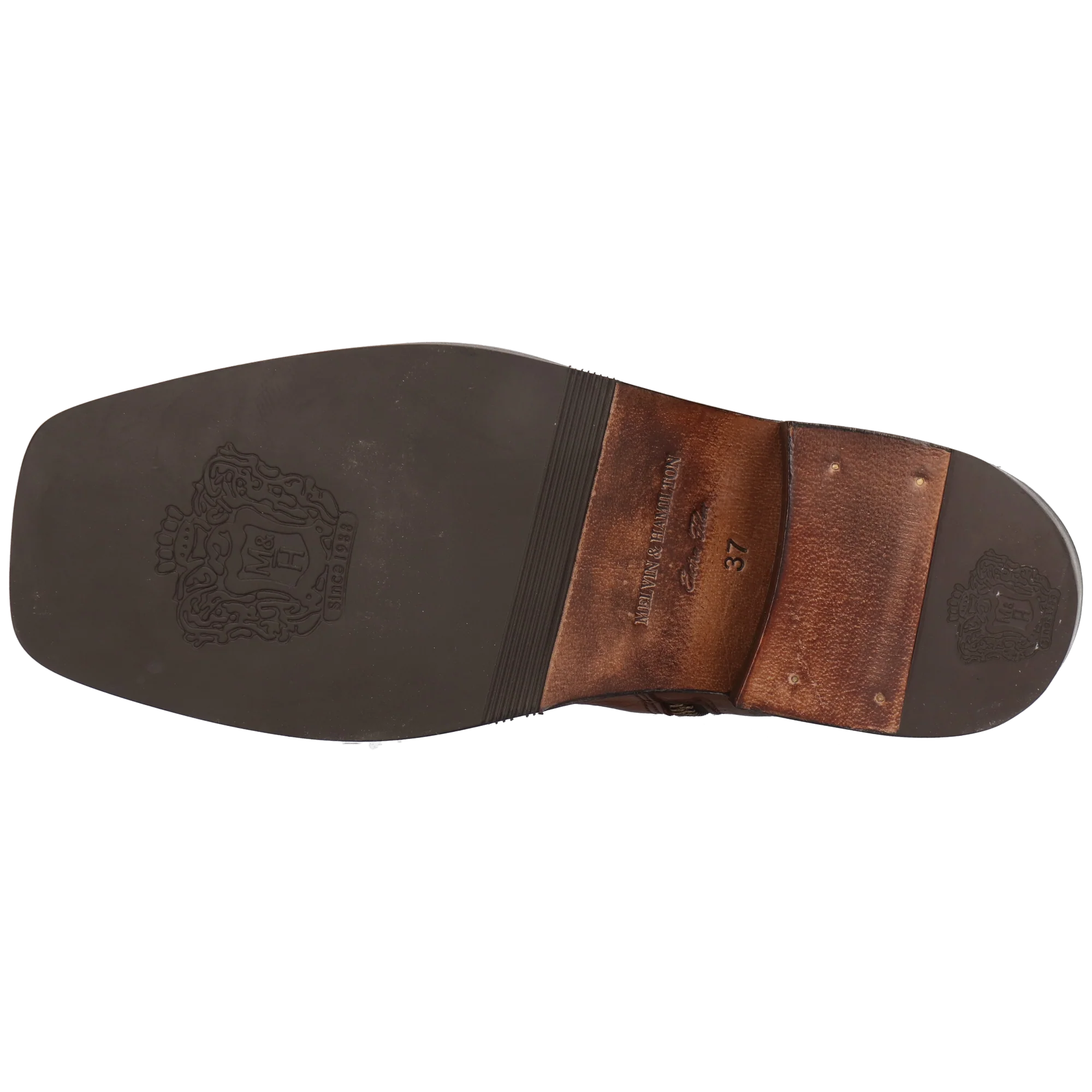 Shelby 1 - Image 4