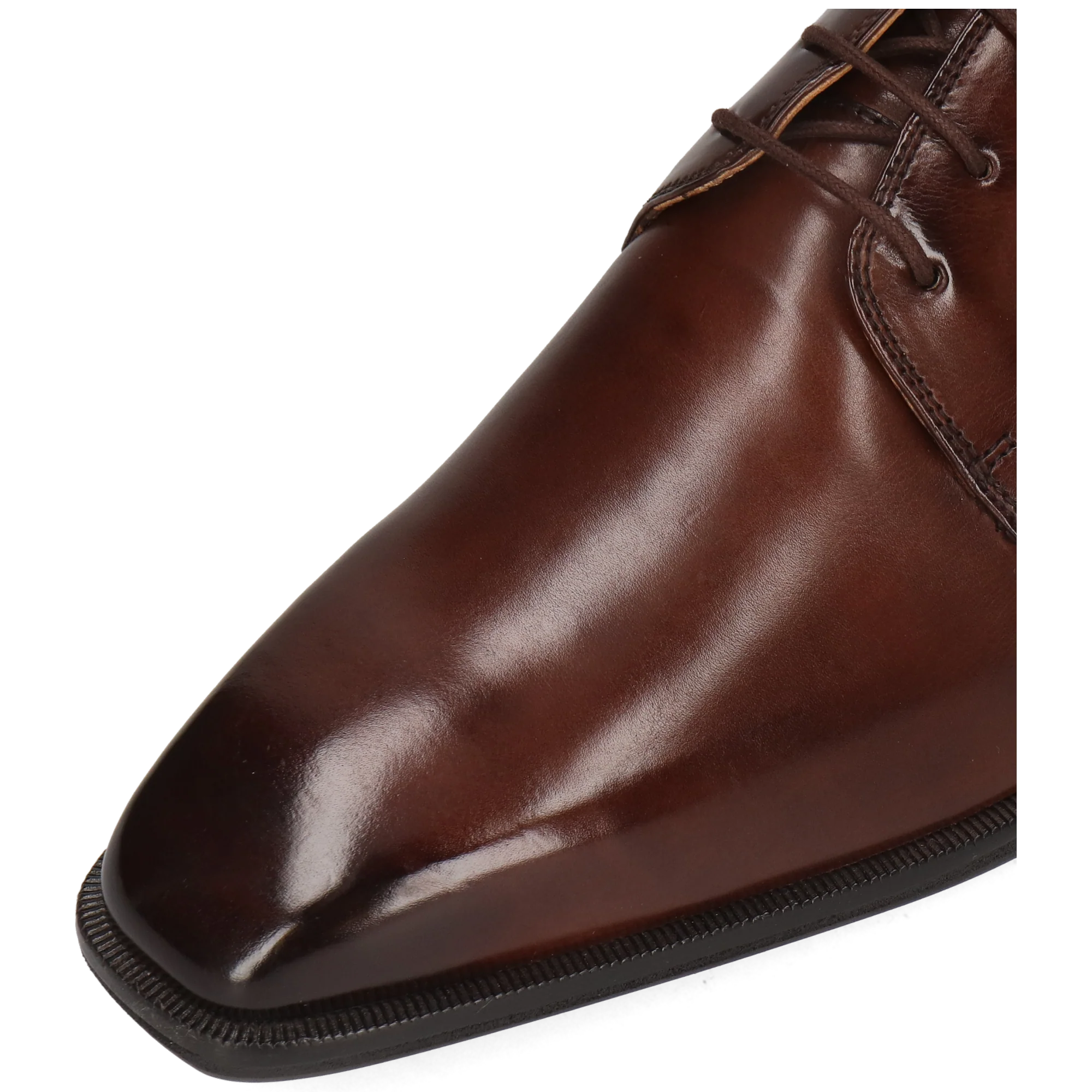 Stefano 1 - Image 5