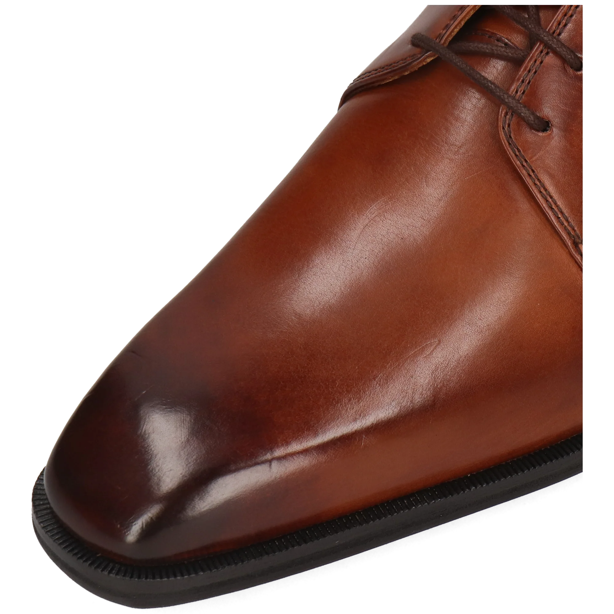 Stefano 1 - Image 5