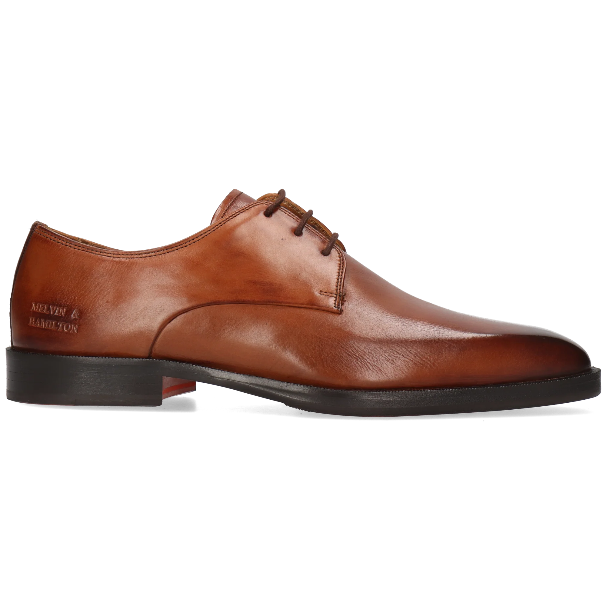 Stefano 1 - Image 7
