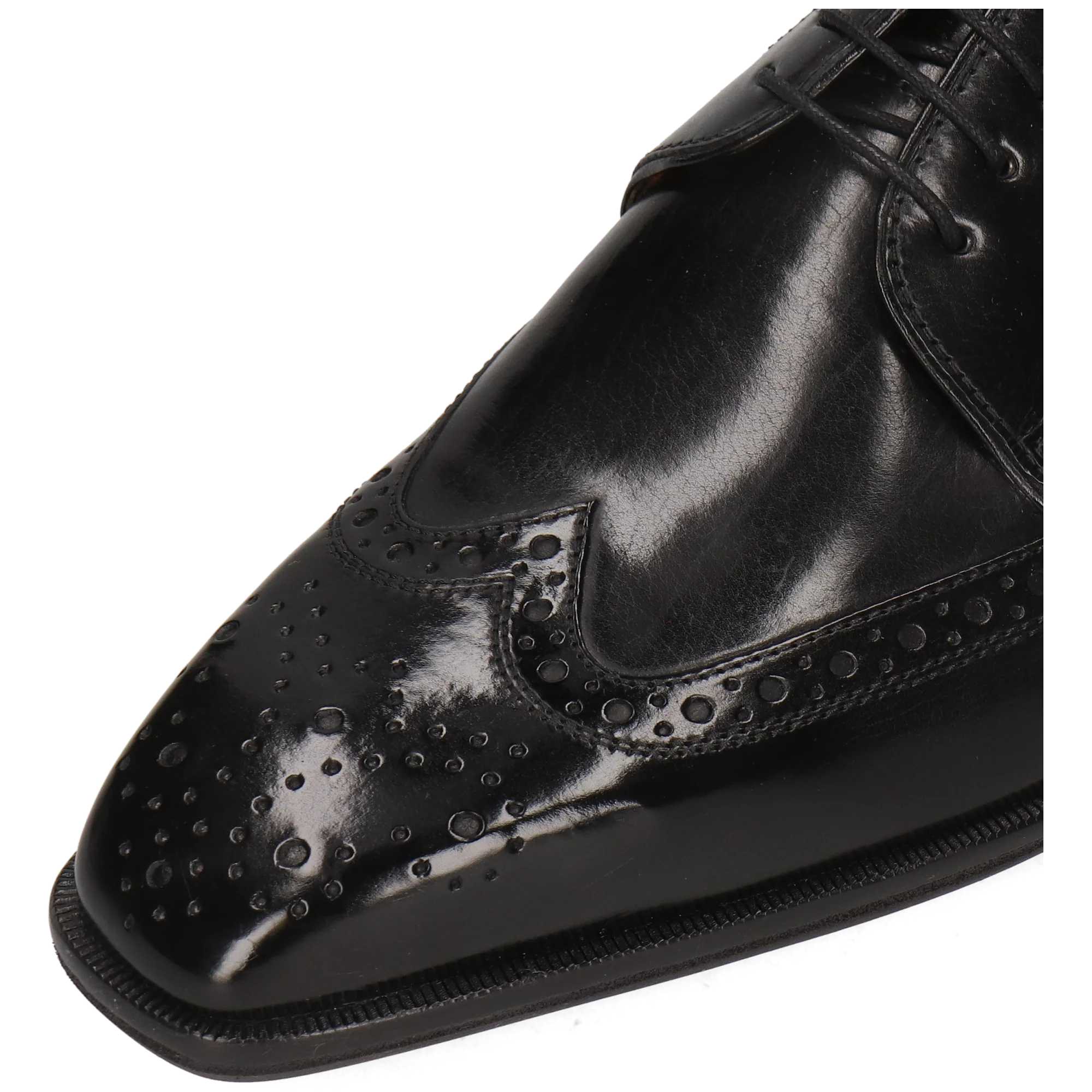 Stefano 4 - Image 5
