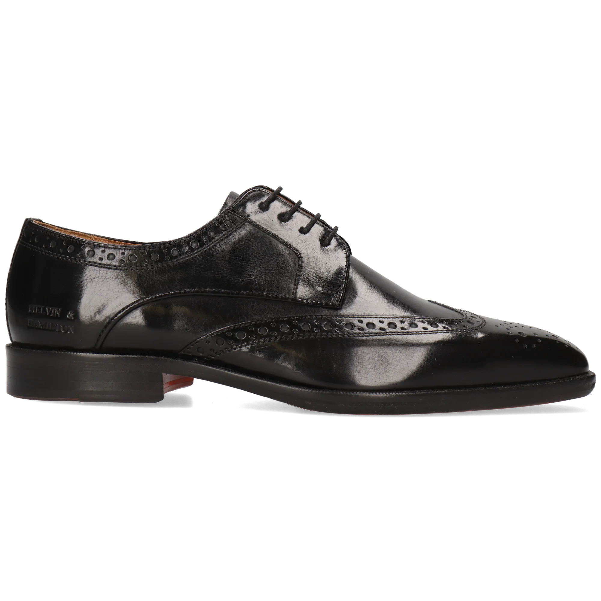 Stefano 4 - Image 7