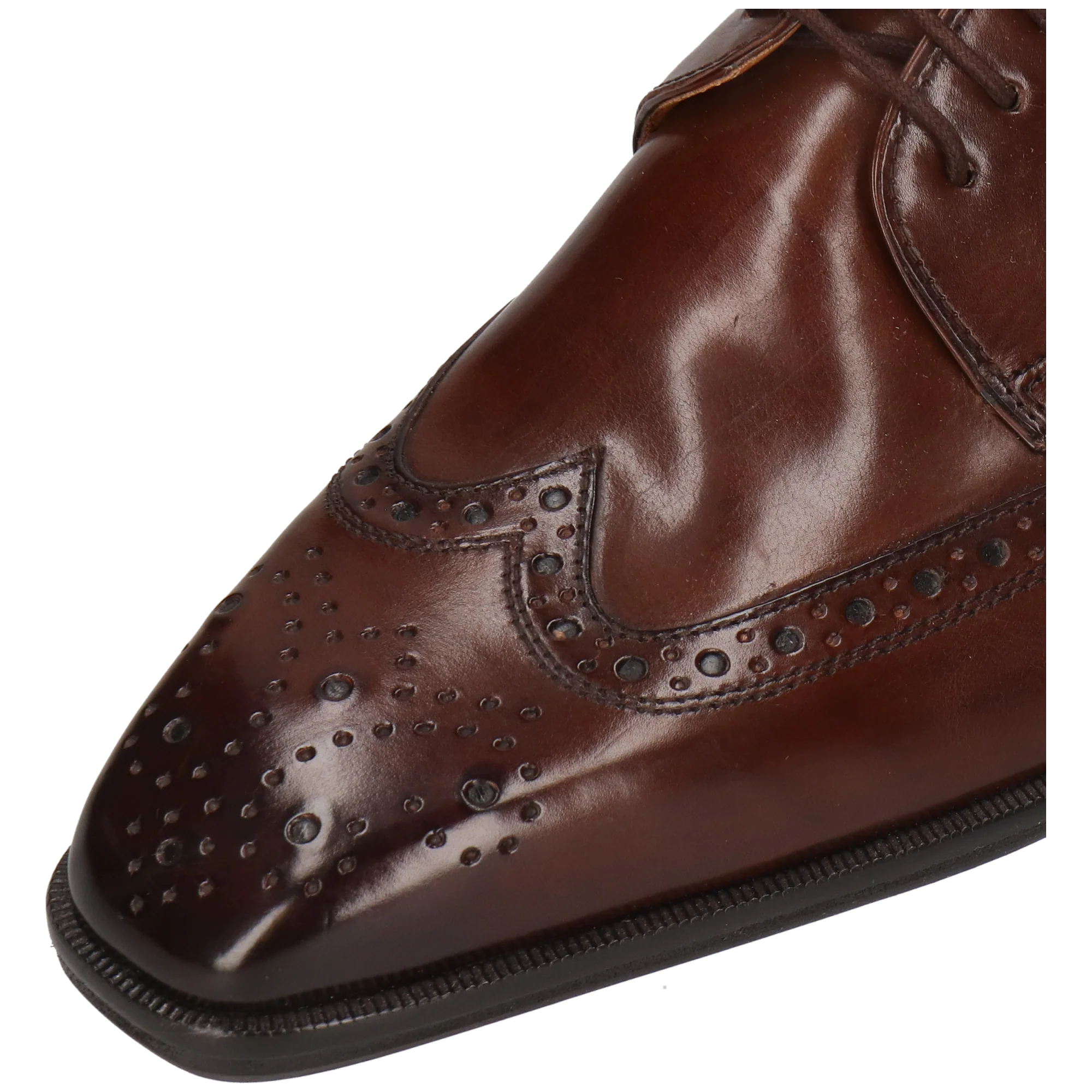 Stefano 4 - Image 5
