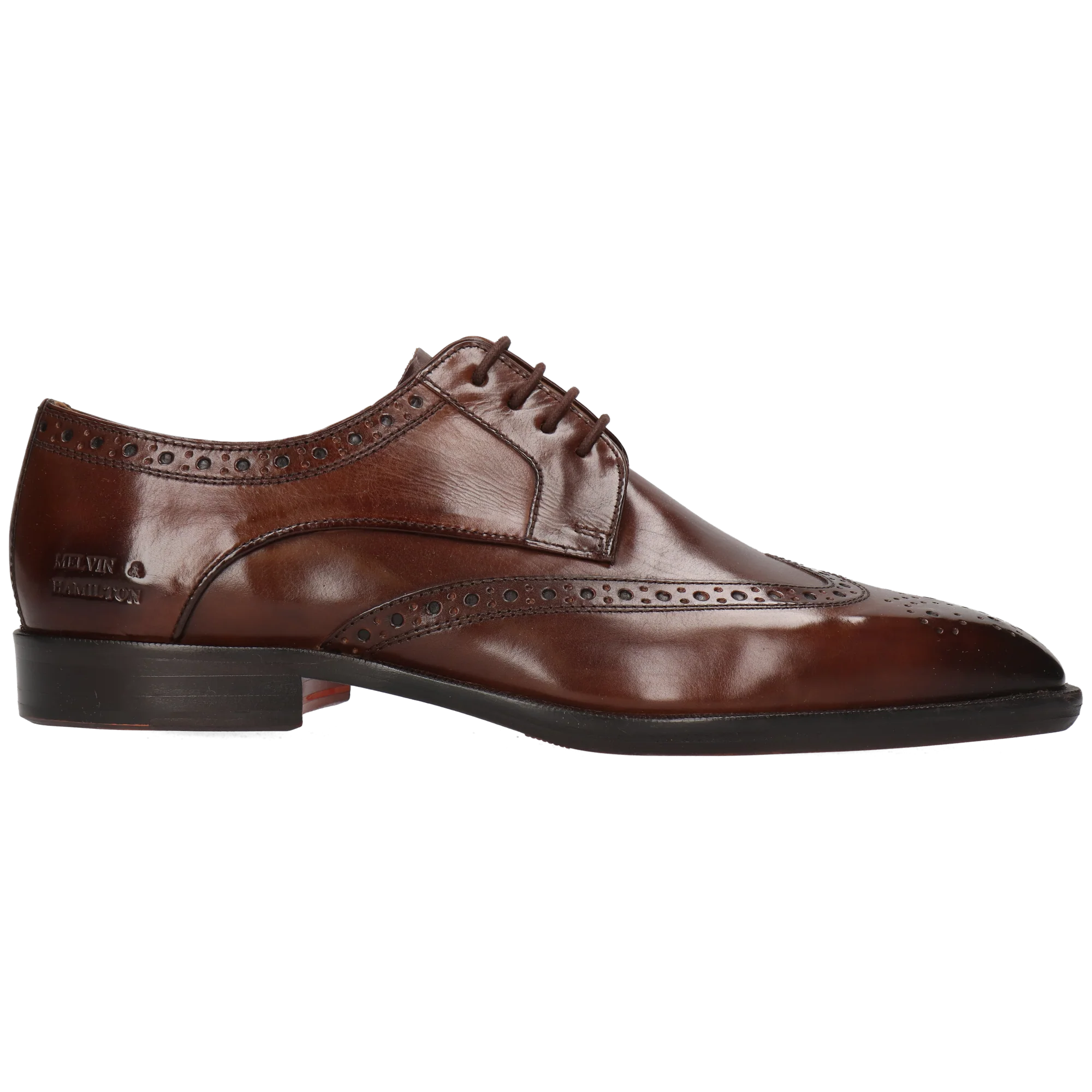 Stefano 4 - Image 7