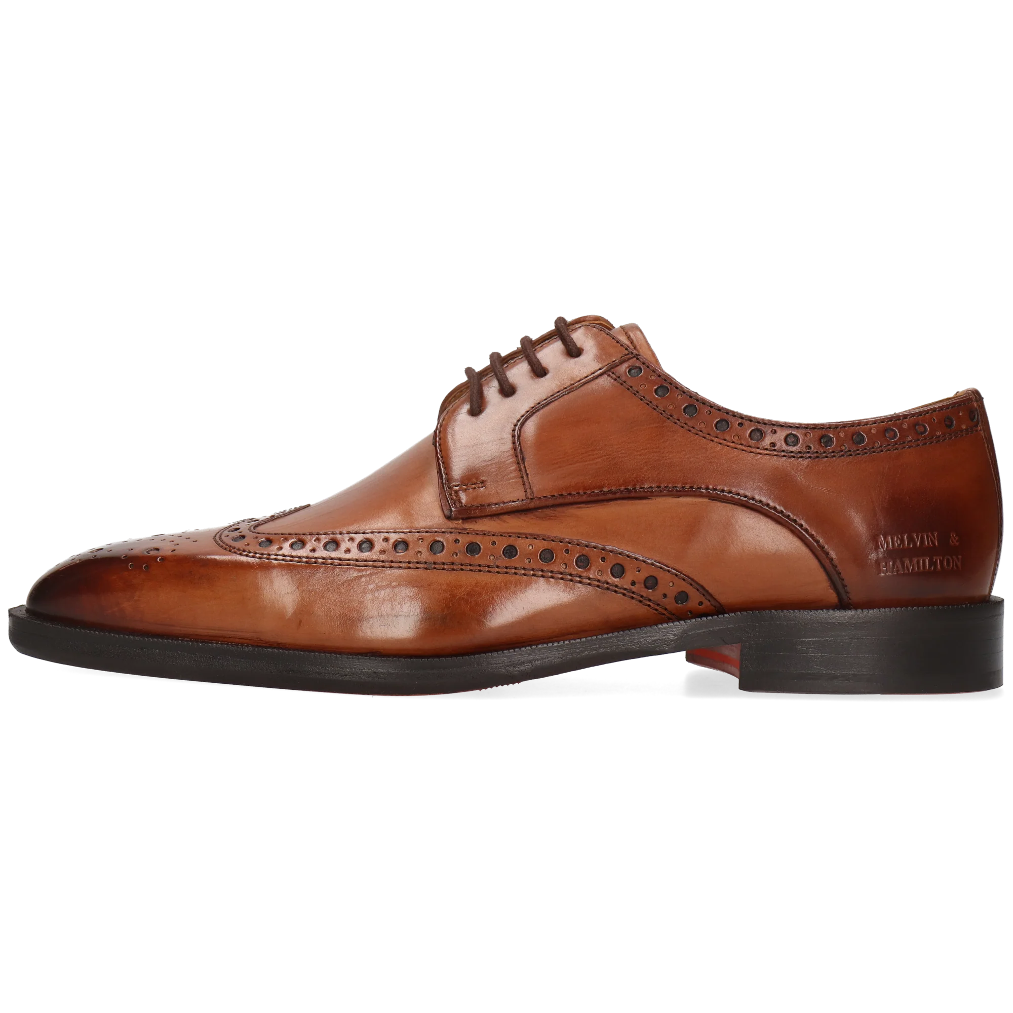 Stefano 4 - Image 3