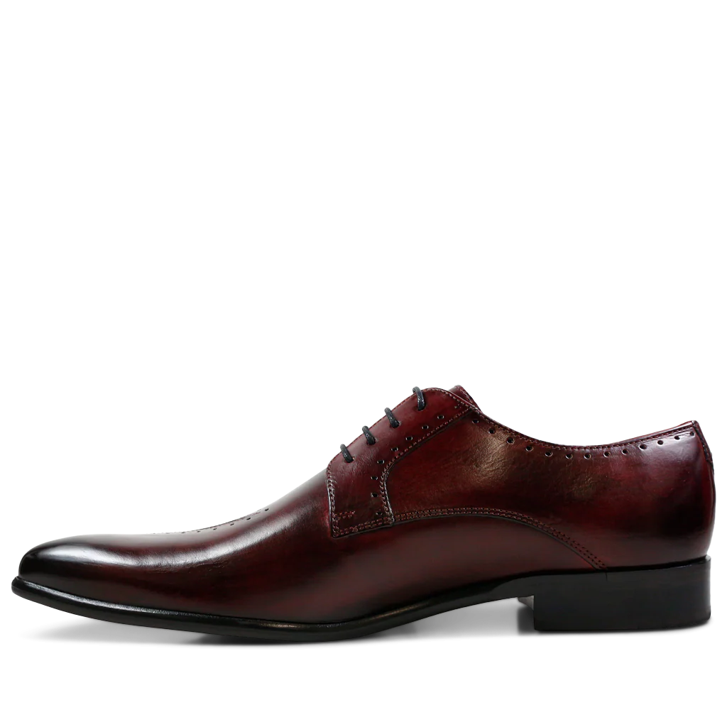 Toni 8 - Image 4