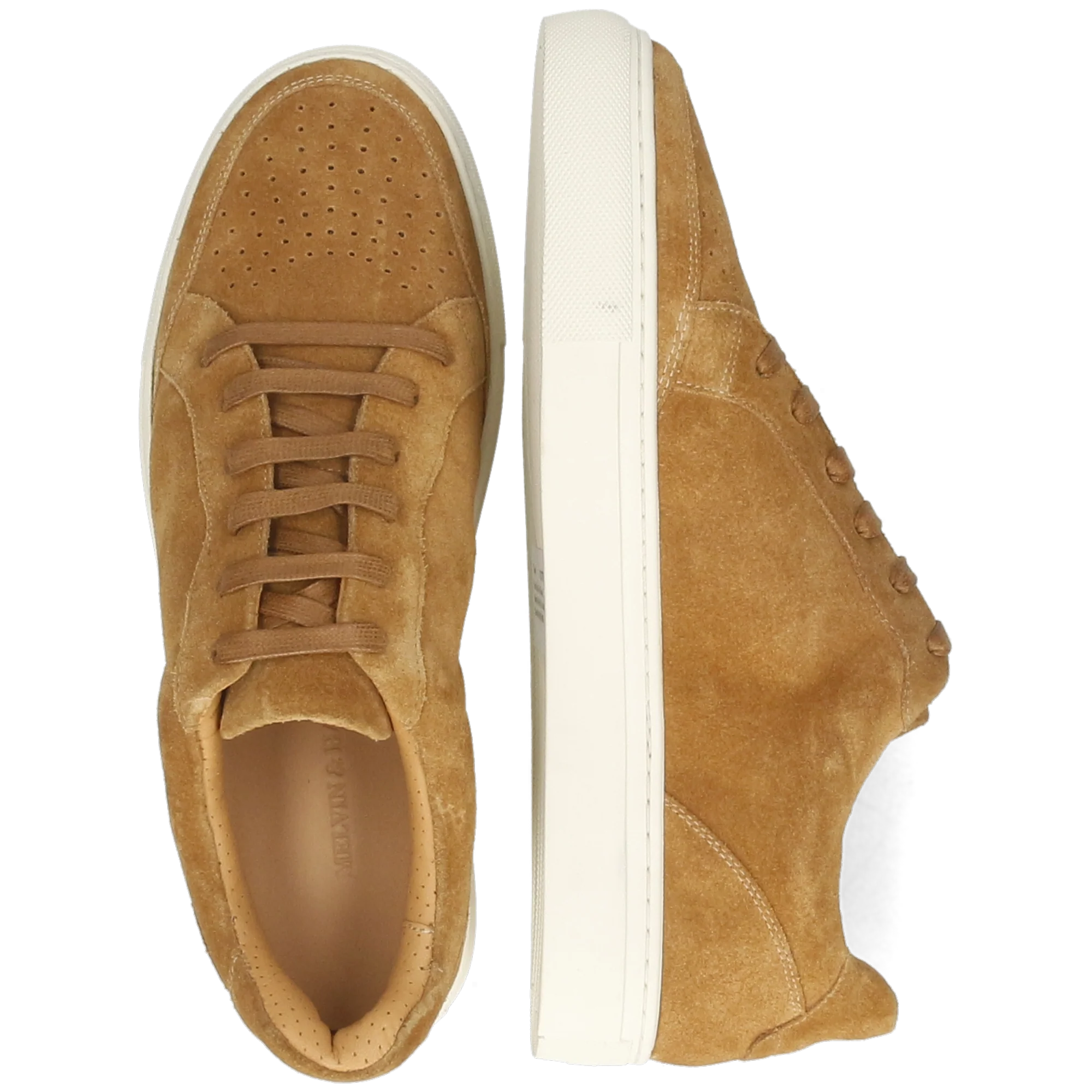 Tyler 4 - Image 6