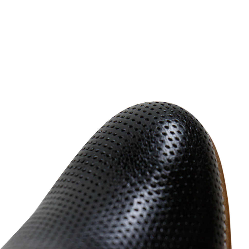 Xenia 1 - Image 6