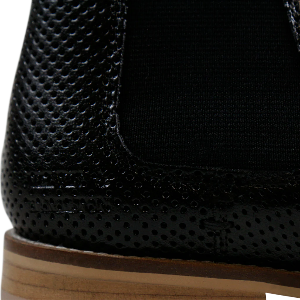 Xenia 1 - Image 7