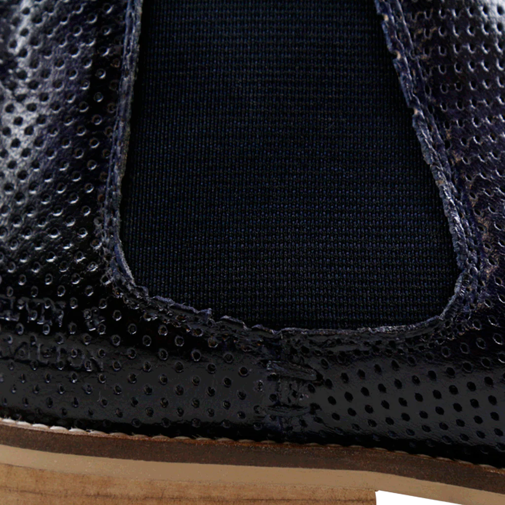 Xenia 1 - Image 7